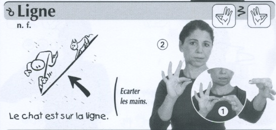 Ligne.jpg