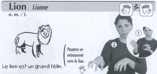 Lion.jpg