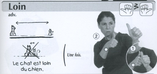 Loin.jpg