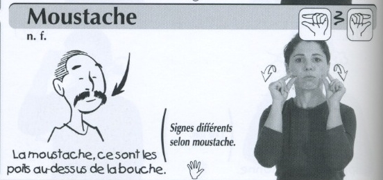 Moustache.jpg