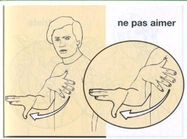 Ne pas aimer.jpg