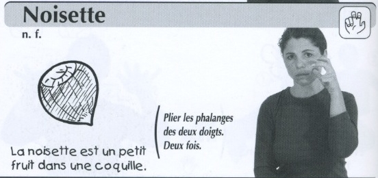 Noisette.jpg