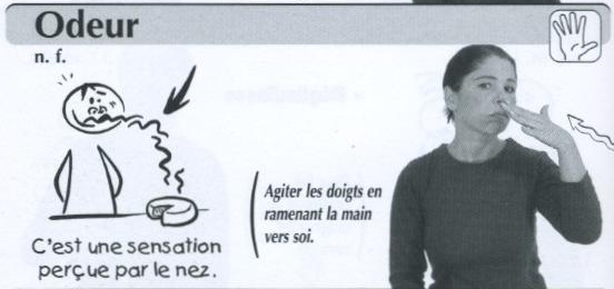 Odeur.jpg