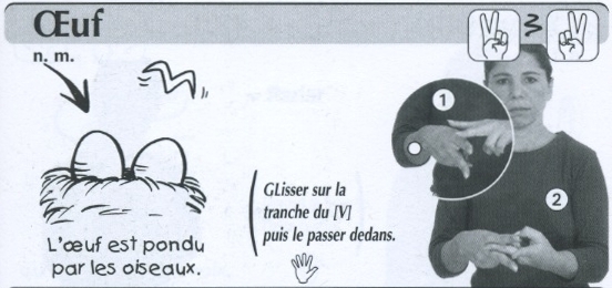 Oeuf.jpg