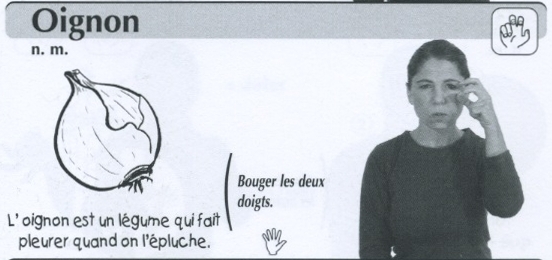 Oignon.jpg
