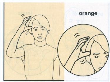 Orange.jpg