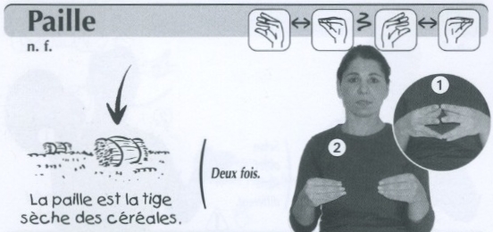 Paille.jpg