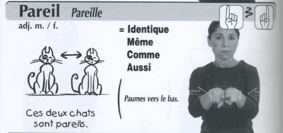 Pareil.jpg