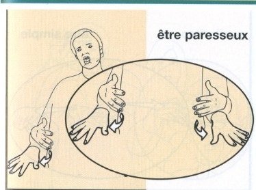 Paresseux.jpg
