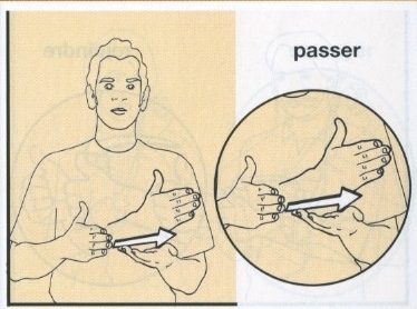 Passer-bis.jpg