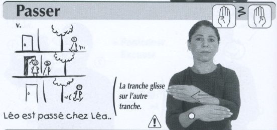 Passer.jpg