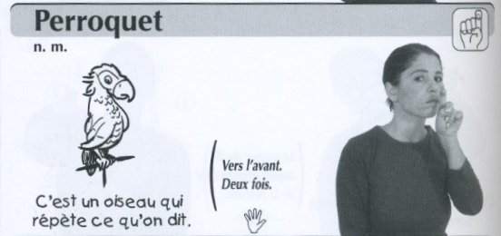 Perroquet.jpg