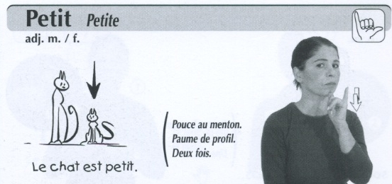 Petit.jpg