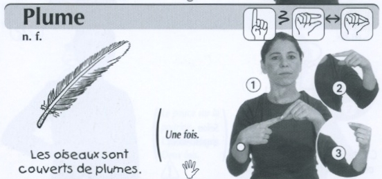 Plume.jpg