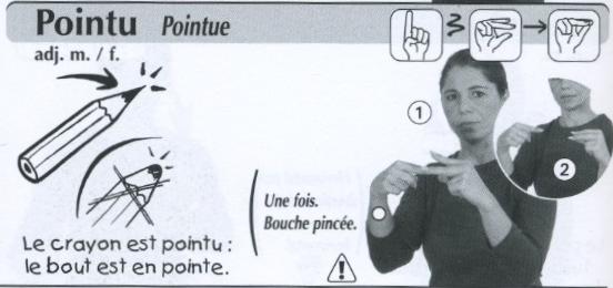 Pointu.jpg