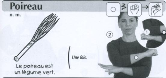 Poireau.jpg