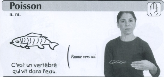 Poisson.jpg