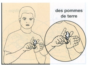 Pomme de terre-2.jpg