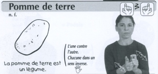 Pomme de terre.jpg