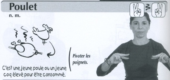 Poulet.jpg
