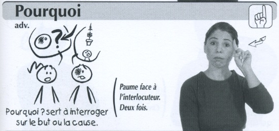 Pourquoi.jpg