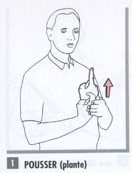Pousser (plante).jpg
