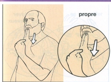 Propre.jpg