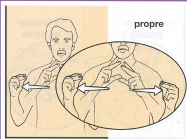 Propre 2.jpg