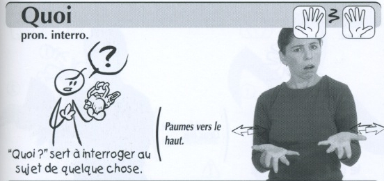Quoi.jpg