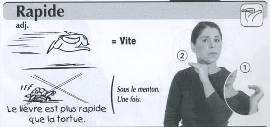 Rapide.jpg