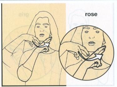 Rose.jpg