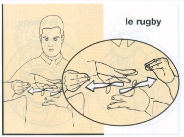 Rugby-2.jpg
