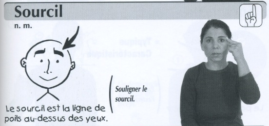 Sourcil.jpg