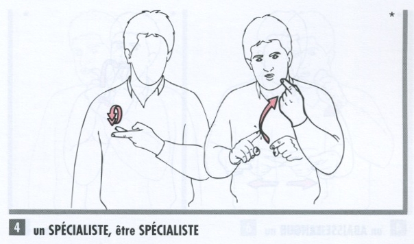 Spécialiste (médecin).jpg