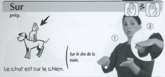 Sur.jpg