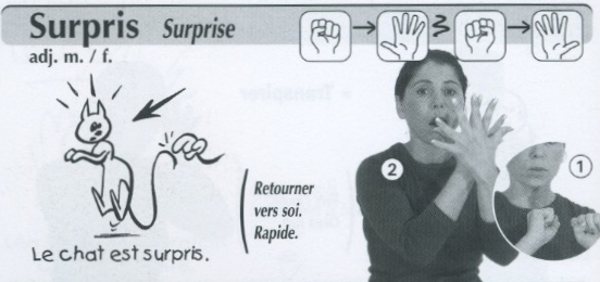 Surpris.jpg