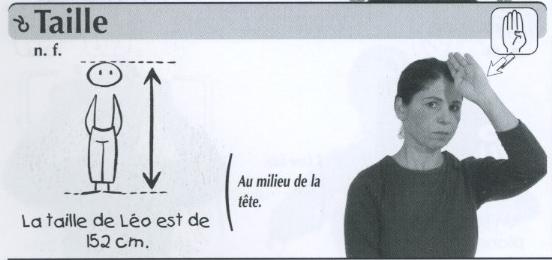 Taille.jpg
