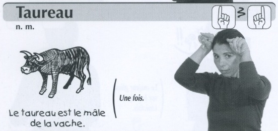 Taureau.jpg