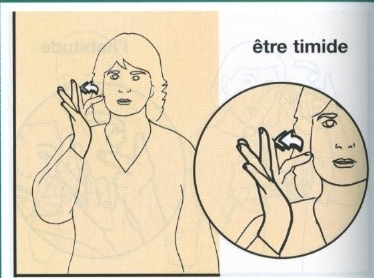 Timide.jpg