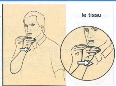 Tissu-2.jpg