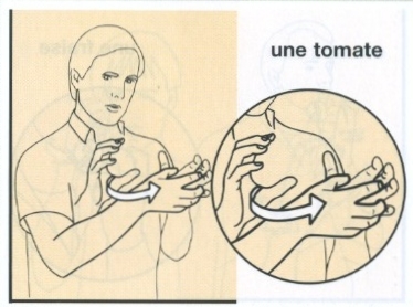 Tomate-2.jpg