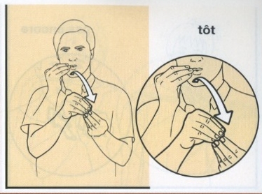Tôt.jpg