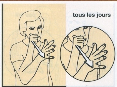 Tous les jours.jpg