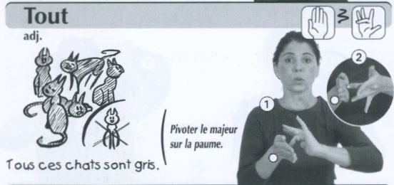 Tout.jpg