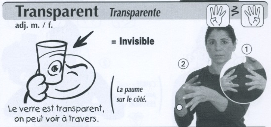 Transparent.jpg