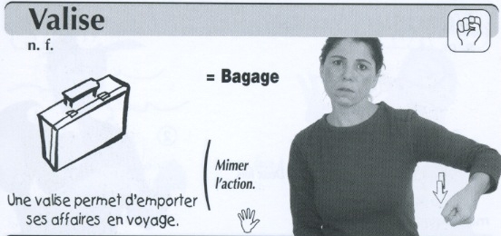 Valise.jpg