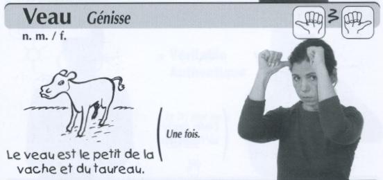 Veau.jpg