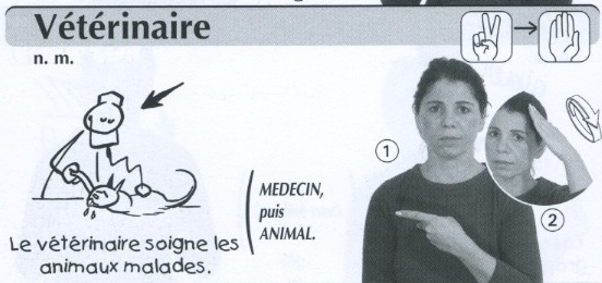 Vétérinaire.jpg