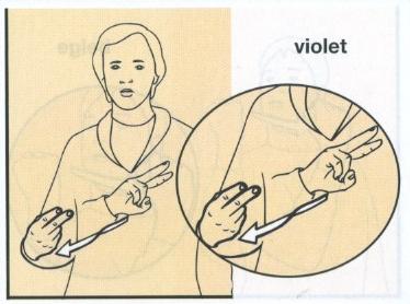 Violet.jpg