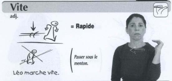 Vite.jpg
